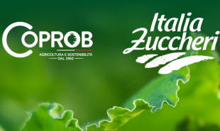 RSPP per Italia Zuccheri CO.PRO.B: incarico a Galileo Ingegneria