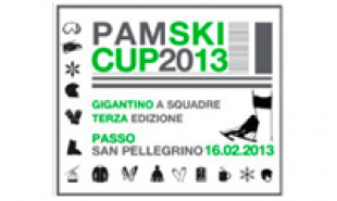 Pamski Cup 2013