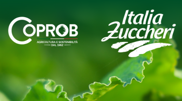 RSPP per Italia Zuccheri CO.PRO.B: incarico a Galileo Ingegneria